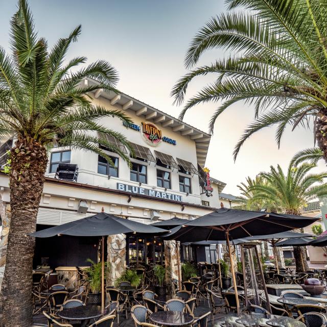 Taverna Opa and Blue Martini at Pointe Orlando on International Drive