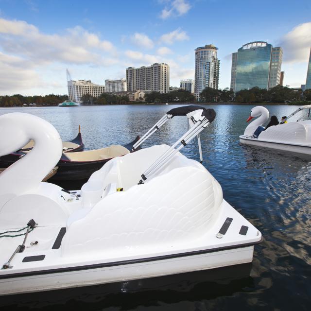 swan boats on Lake Eola in downtown Orlando