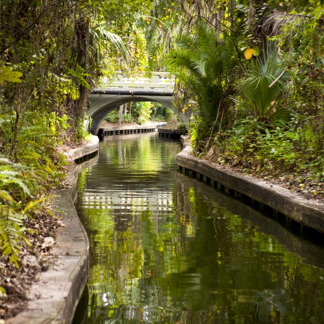 canal along the Winter Park Scenic Boat Tour