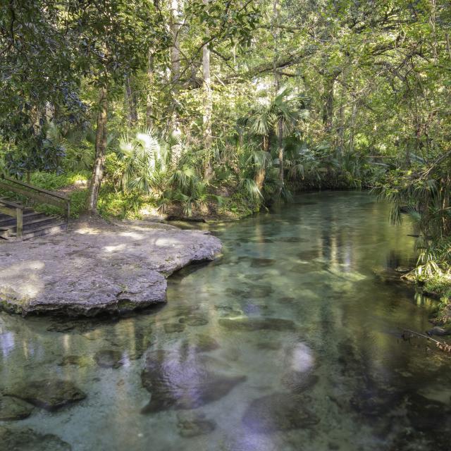 Clear water from a natural spring flows through a lush tropical landscape at Rock Springs.