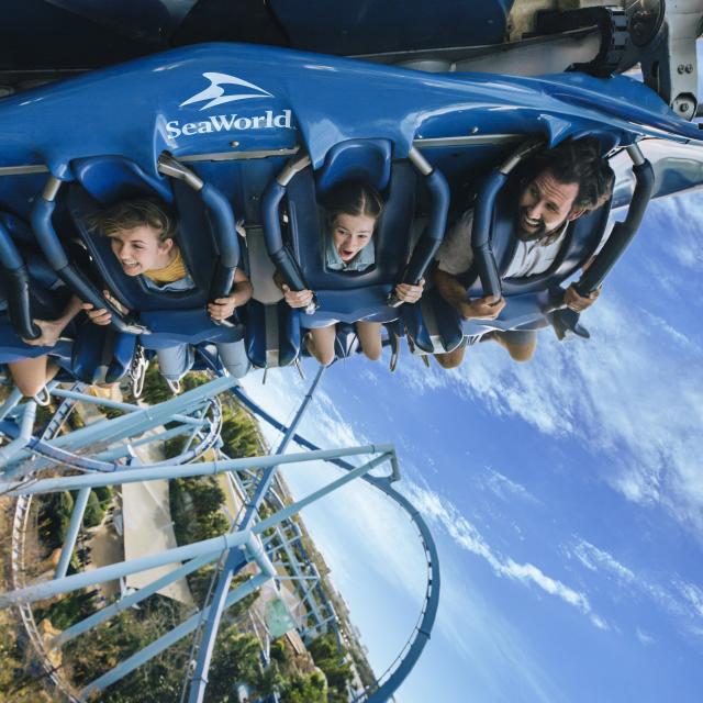Action shot of a family of four riding on Manta Roller Coaster in SeaWorld