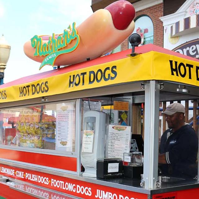Hot hotsell dog sled