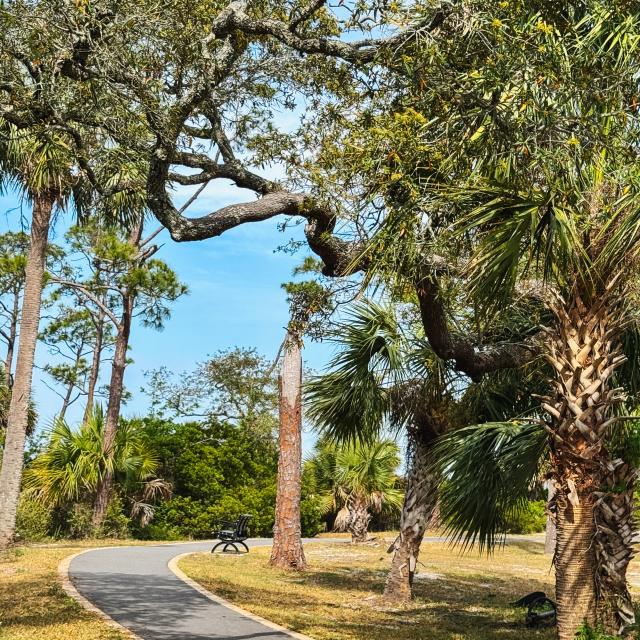 walking trail