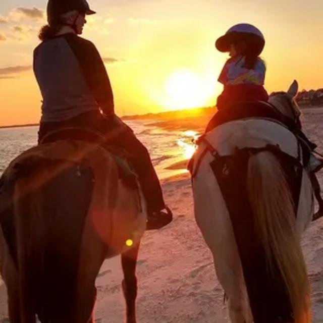 Horses