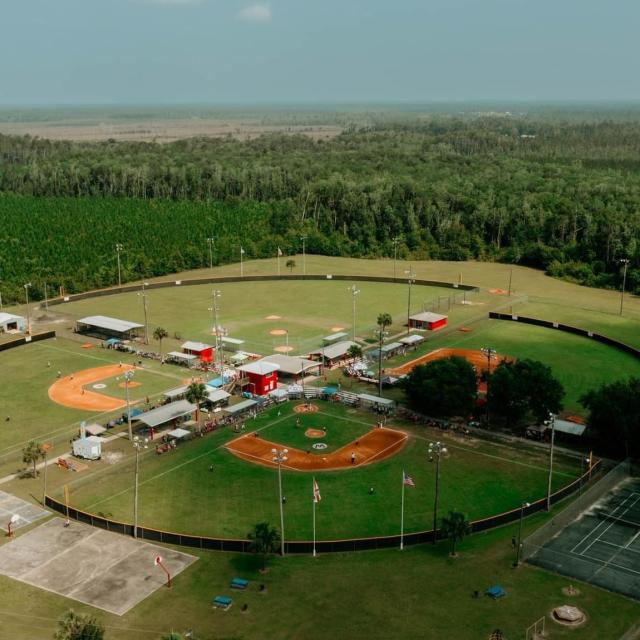 bird's eye
