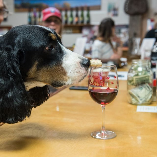 hazlitt-vineyards-interior-dog-friendly-tasting-room