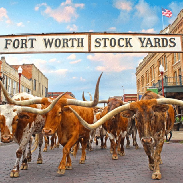 Why the Fort Worth Stockyards Are Famous (And What to See) – Blog