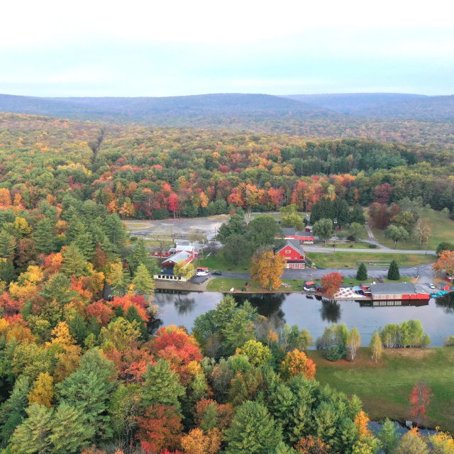 An scenic aerial view of the foliage on the trees and cabins and a pond in the center.
