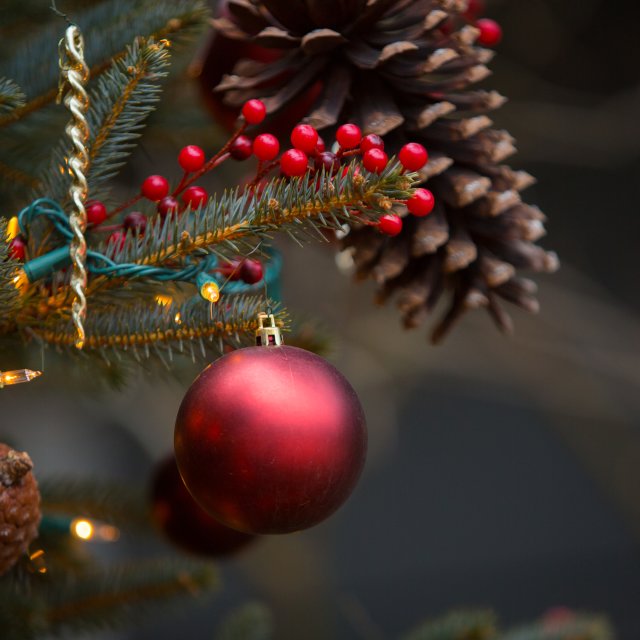 Explore the Holidays in the Pocono Mountains