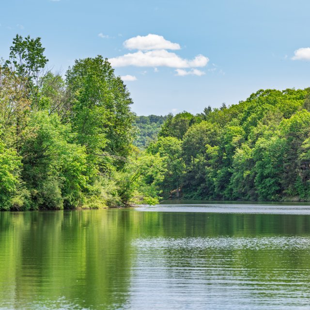 A view of the water and the trees at Beltzville State Park in Lehighton.