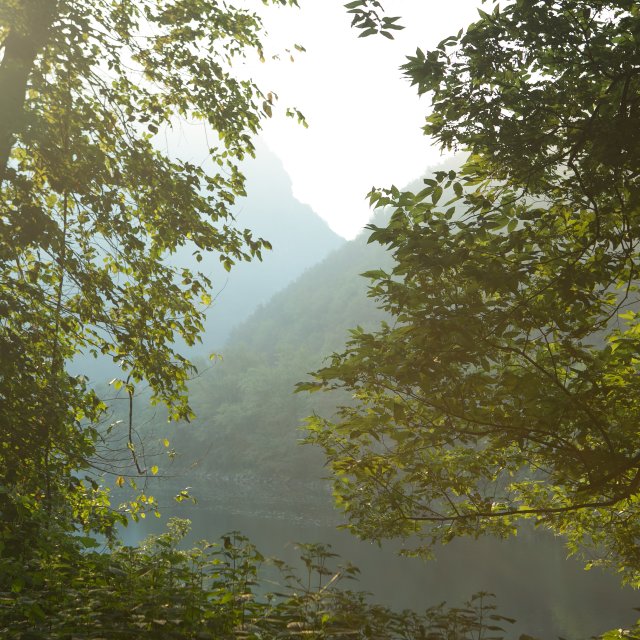 Enjoy at Scenic View in the Pocono Mountains