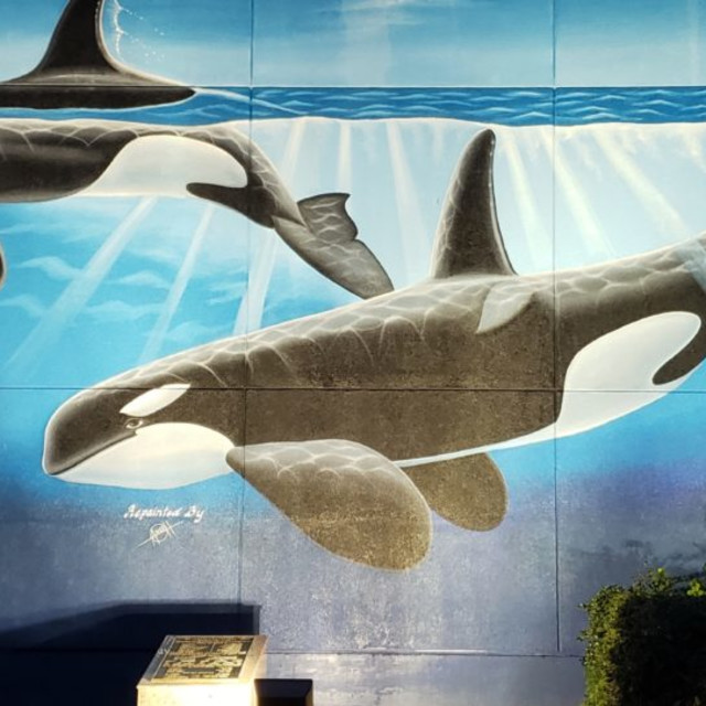 Visitor Information South Padre Island