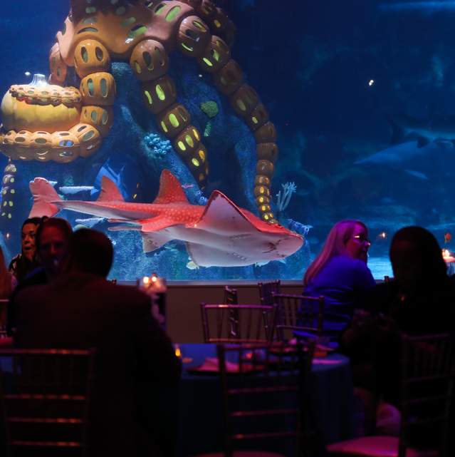 A group of seated people are silhouetted against a large aquarium glass. Sharks and other sea life swim past.