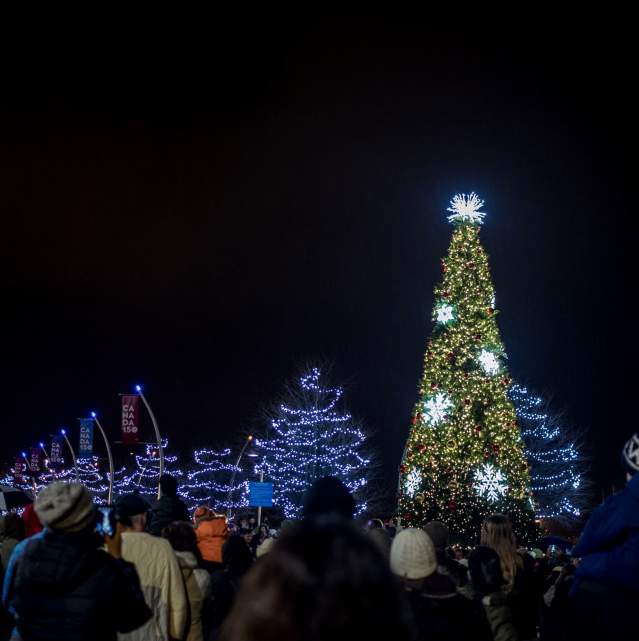 Winter Street Market