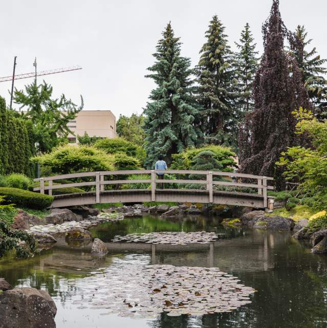 Kelowna's Cultural District: A Gem in the Heart of Downtown Kelowna