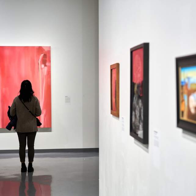 Spartanburg Art Museum patron