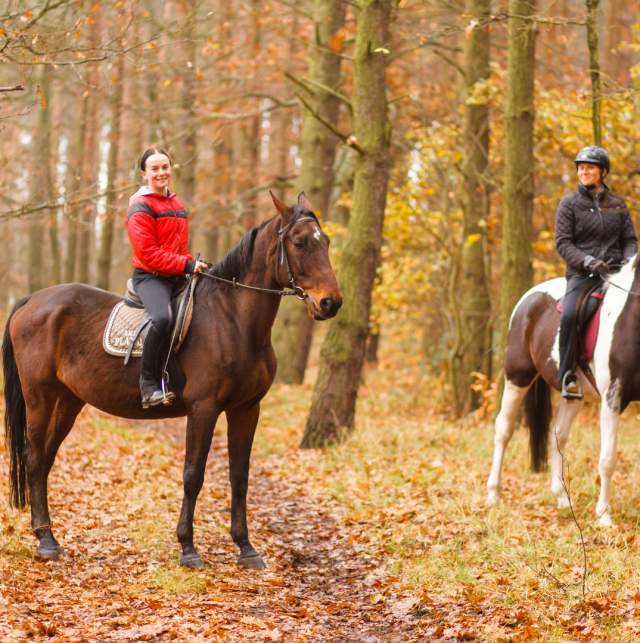 Trail Riding Horseback