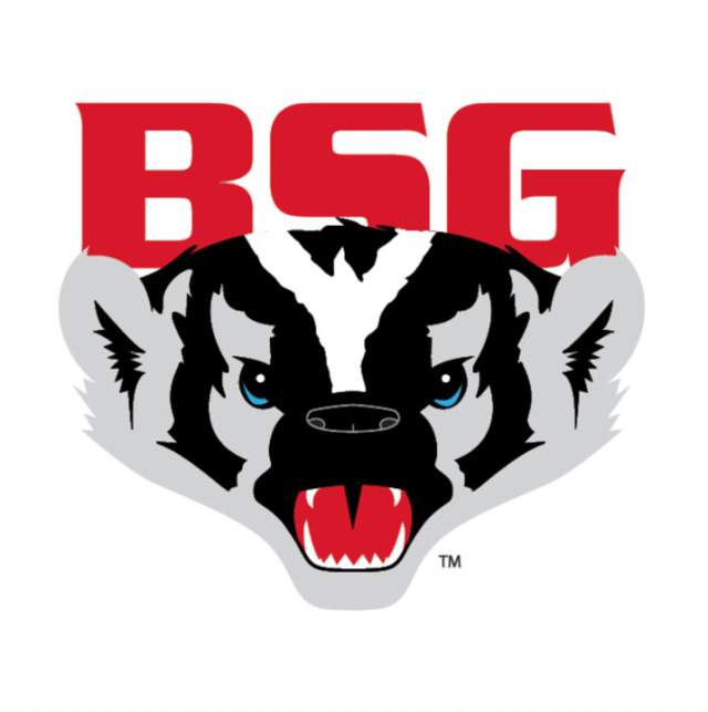 Badger State Winter Games Gymnastics