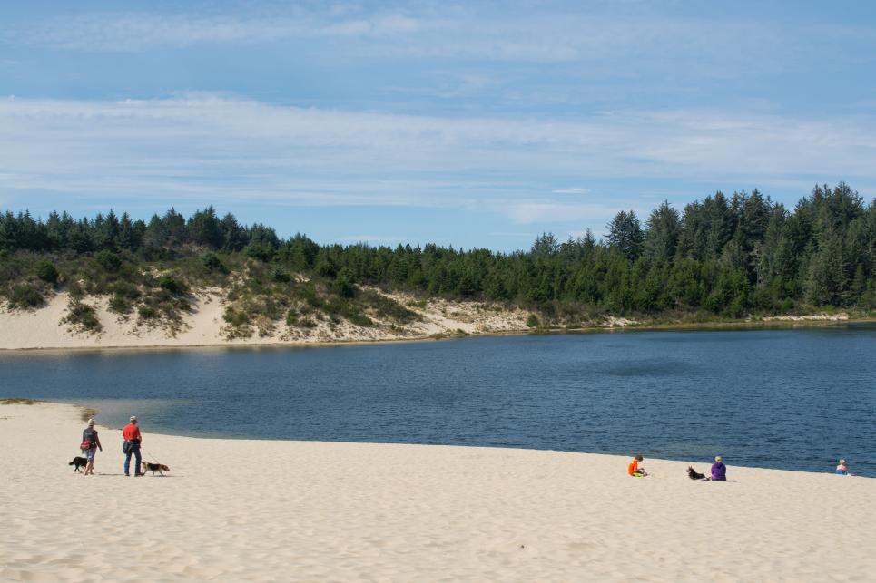 Cleawox Lake at Honeyman State Park