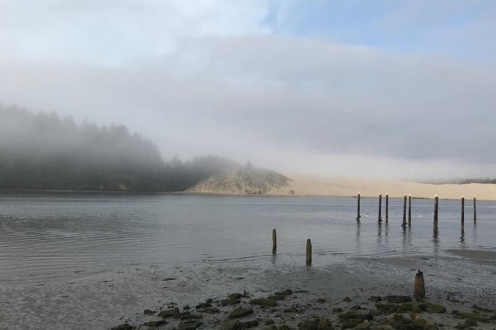 Siuslaw River in the Fog