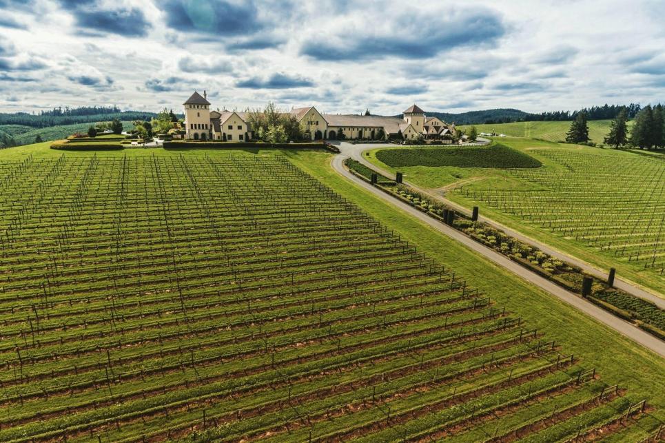 Aerial Photo of King Estate Winery