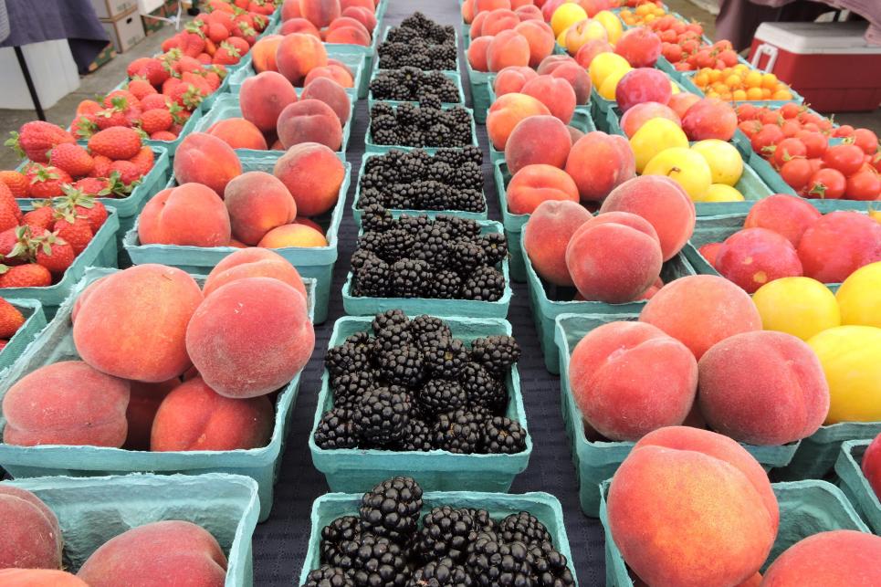 Rows of green pint containers with strawberries, peaches, blackberries and tomatoes.