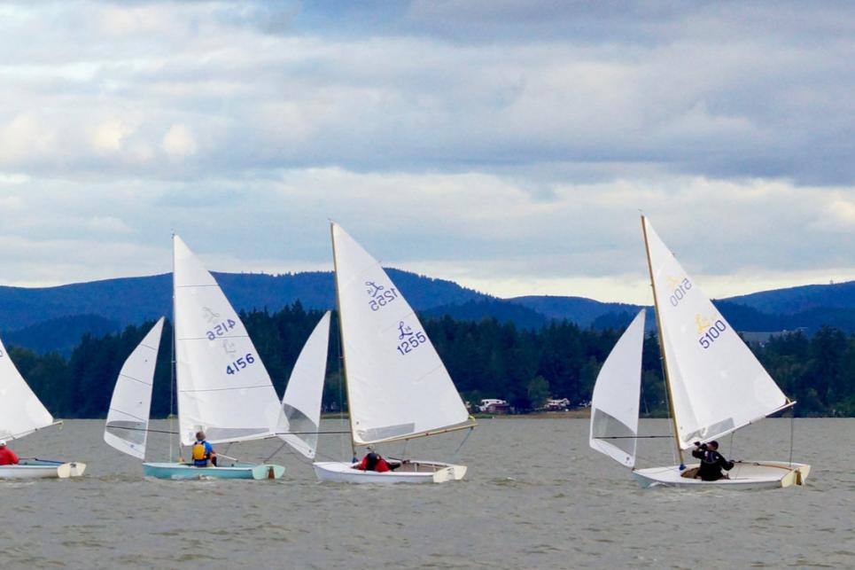 5 Lido 14 Class Sailboats in a row on the water