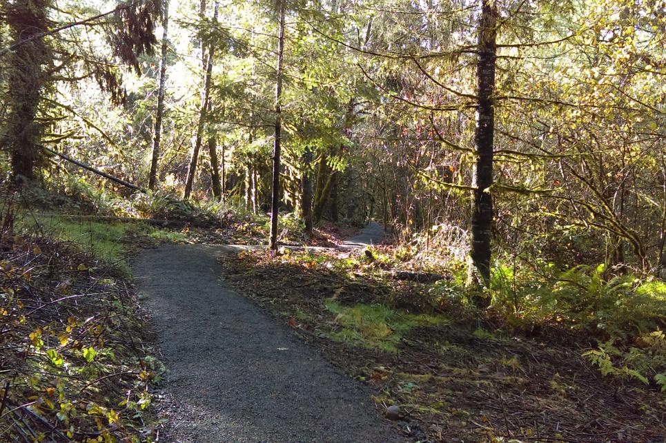 Thurston Ridgeline Trail