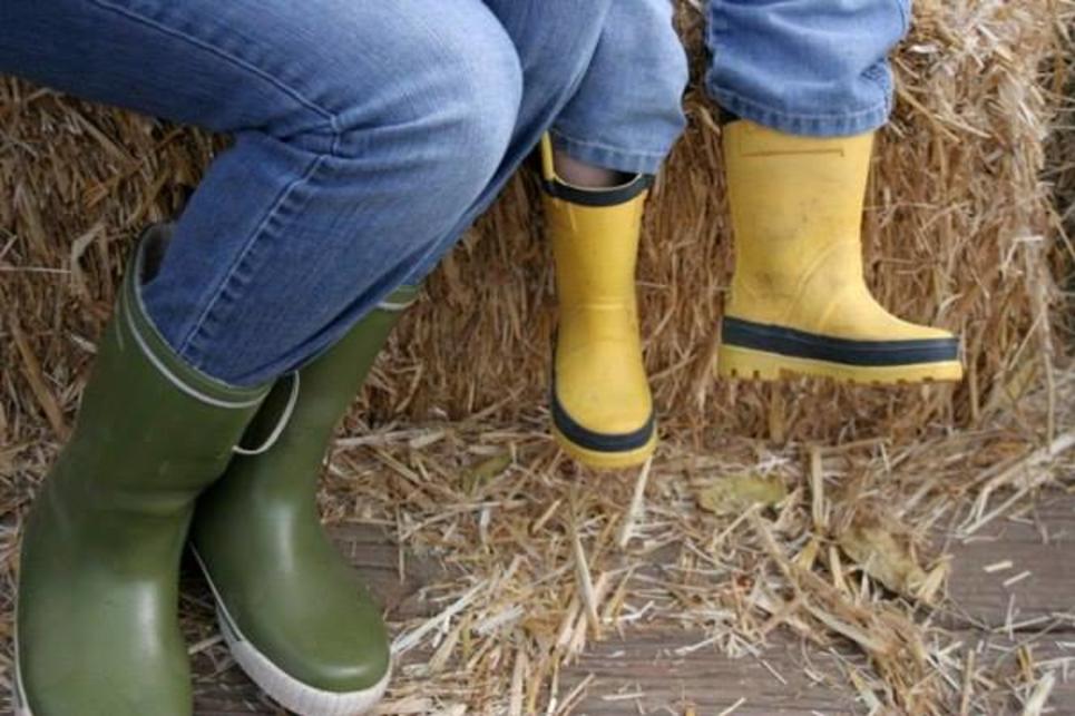 Hay Ride at Northern Lights Christmas Tree Farm