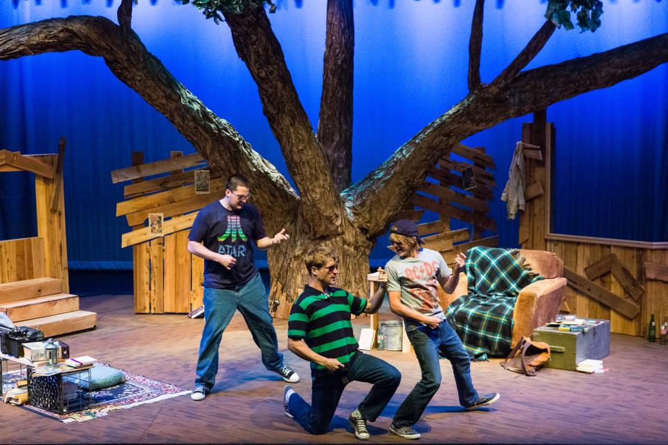 Performance at Cottage Theatre