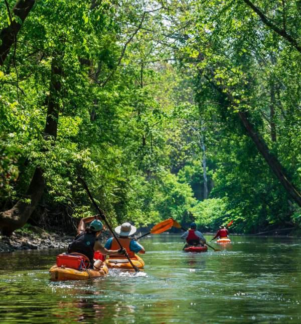 Kayakers in the tunnel of love