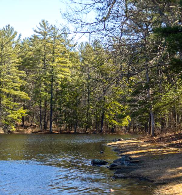 Casmir Pulaski Memorial State Park