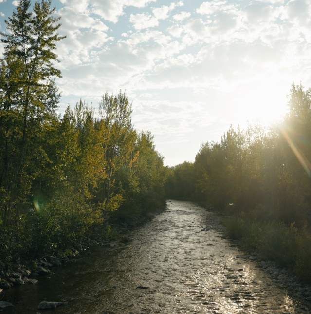 Mission Creek