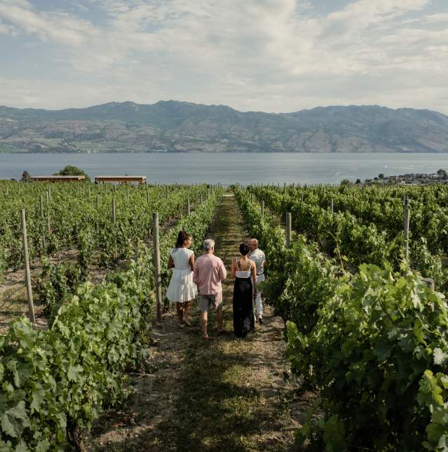 Group walking through vineyard at Quails Gate Winery