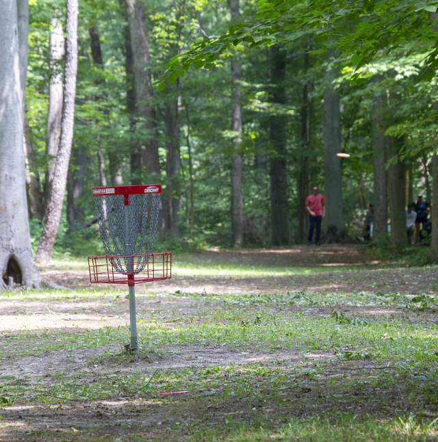 Disc Golf