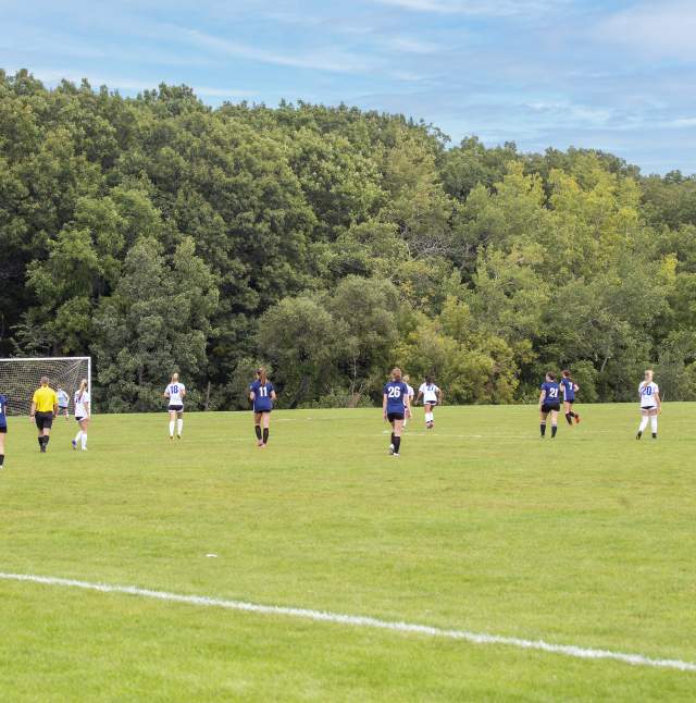 Soccer players on a field