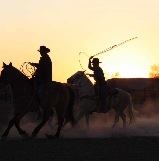 Cowboys on Horses Silhouettes