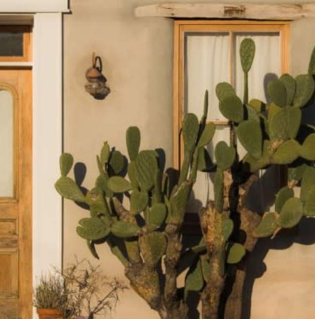 Barrio Door in Tucson
