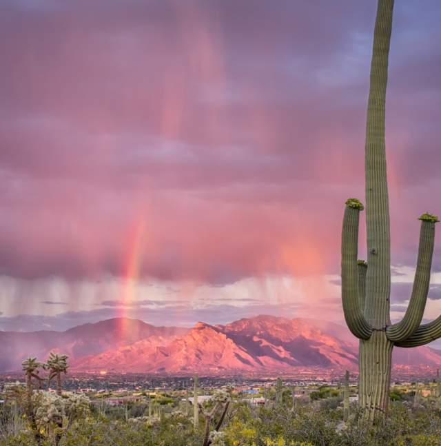 rainbow_and_saguaro
