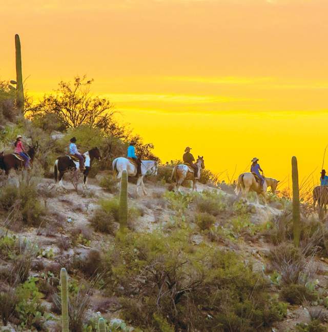 tanque-verde-ranch-sunset-horses