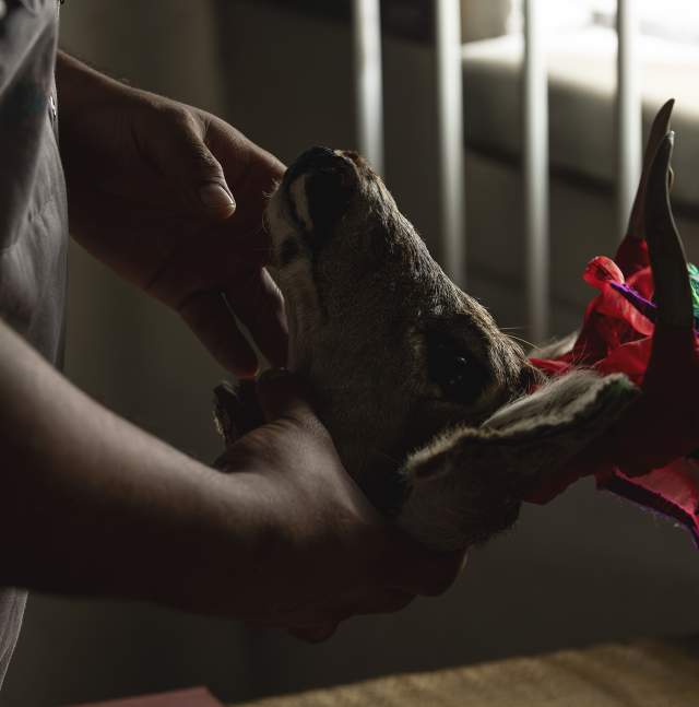 Deer Dancer Headdress