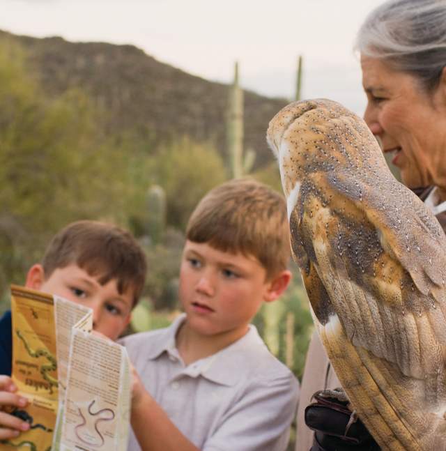 Woman holding a large owl with two children standing beside her pointing at a map