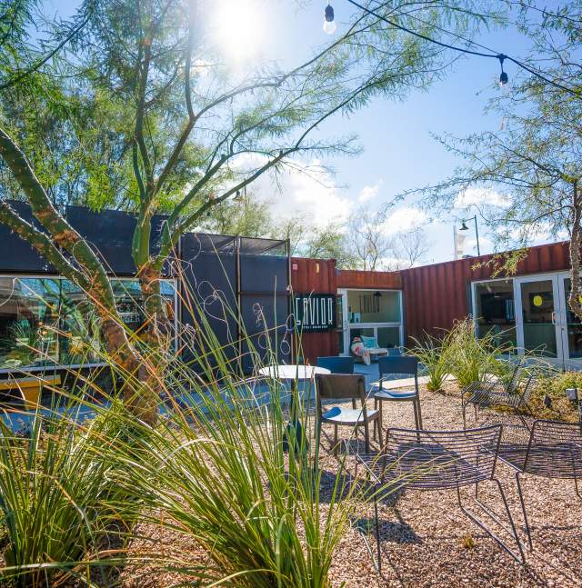 MSA Annex