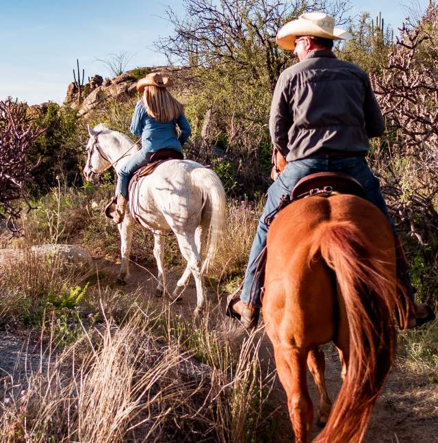 Tucson Western Culture