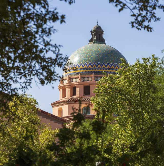 Pima County Courthouse through the surrounding trees
