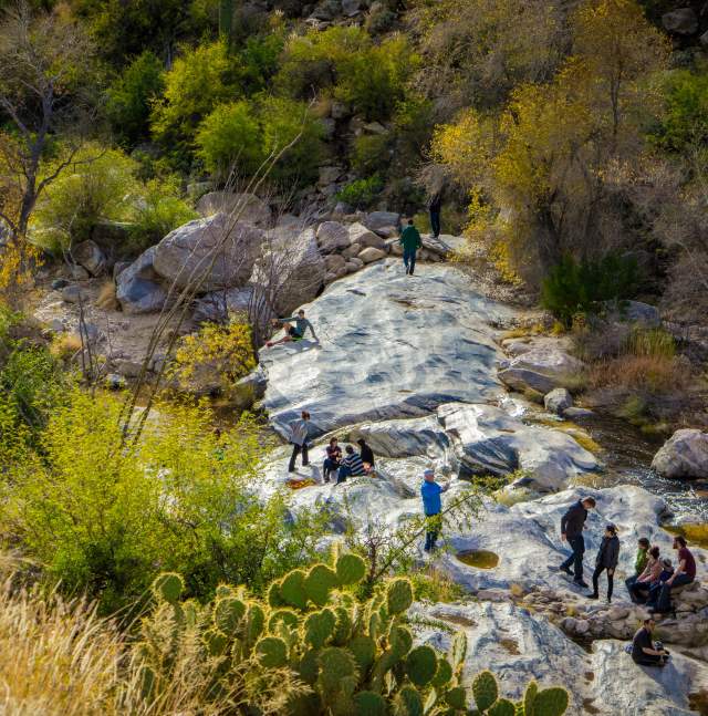 Group of people hiking Sabino Canyon in Tucson, AZ