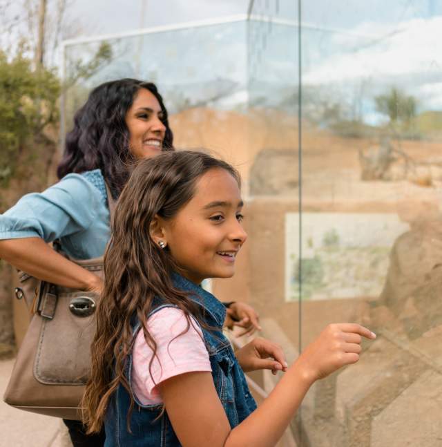 Family viewing the Prairie Dog Exhibit at the Arizona-Sonora Desert Museum