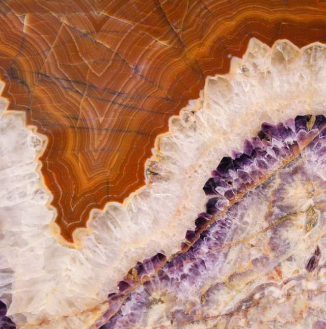 Gem Fossil and Mineral Crystal River of Browns and Purple