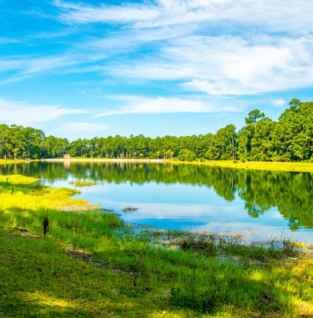 Camping Near the Beach in Georgia