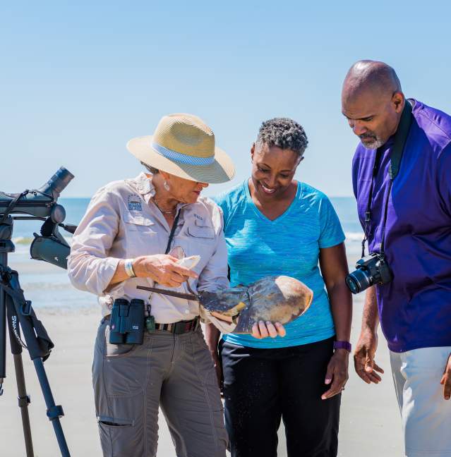 A naturalist teaches guests about wildlife found on the beaches on Little St. Simons Island, Georgia